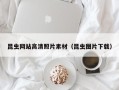 阿拉尔昆虫网站高清照片素材（昆虫图片下载）
